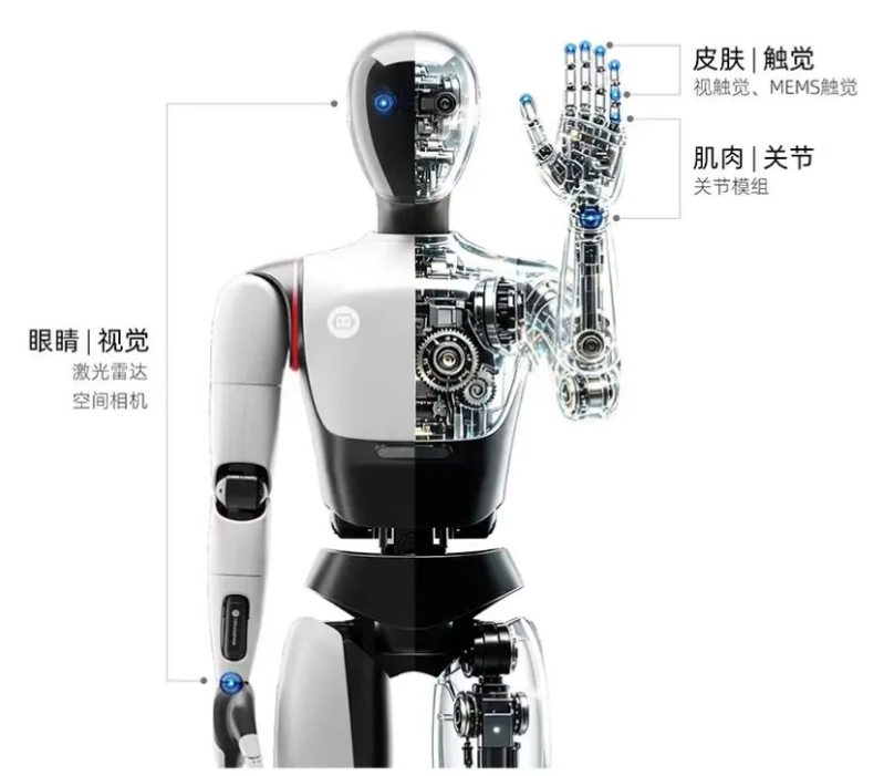 1787836746365293.png 图片 3.png